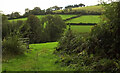 Countryside near Cuming Farm