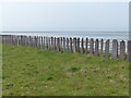 SH6573 : Slate fencing along the Wales Coast Path by Mat Fascione