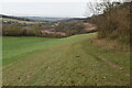 Footpath by Middle Wood