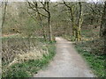 Tittesworth Reservoir footpath