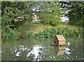 Pond at Rodmersham Green