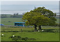 Bus on the A55 at Abergwyngregyn