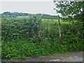 SO3272 : Wanderings around the Welsh/English border [110] by Michael Dibb