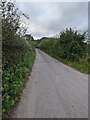 Hedge-lined road towards Wolvesnewton