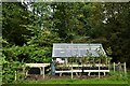 Hare Hill (National Trust): Small greenhouse