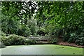 Hare Hill (National Trust): Bridge over a lake covered in green algae