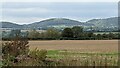 Ragged Stone Hill (Viewed from Pendock)