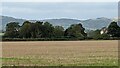 Swinyard Hill (Viewed from Pendock)