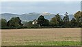 Millennium Hill and the Herefordshire Beacon