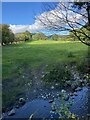 View over Afon Irch from Pont Cefn Hir