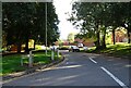 Padarn Close Scene