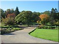 SE2854 : Autumn colour at Harlow Carr Gardens, Harrogate by Malc McDonald