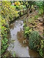 River Sheaf looking north at Five Trees Drive