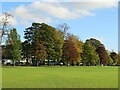 SE3054 : Autumn tints on West Park, Harrogate by Malc McDonald