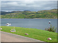 The Kyles of Bute at Tighnabruaich