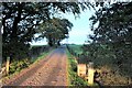 Daybreak on the road to Pokelly Hill