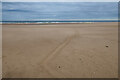 TF9247 : Seal track on Bob Hall's Sand by Hugh Venables