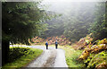NX4765 : Walkers on forest road on slope of Ardwell Hill by Trevor Littlewood