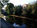 Morning on the canal near Leeds