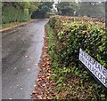 Bilingual lane name sign, Glascoed, Monmouthshire