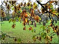 Autumn in the graveyard