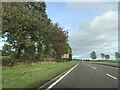 Signage - A9 northbound