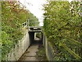 Pedestrian subway at Ackers Crossing