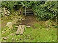 Path into Hanging Wood