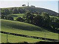 SO2196 : Across the fields towards Town Hill, Trefaldwyn/Montgomery by Mike Parker