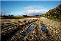 NH6454 : Field surrounding Balnakyle Farmhouse, Black Isle by Julian Paren