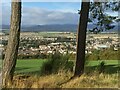 View of Forfar from Balmashanner Monument