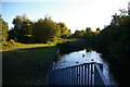 Ridgacre Branch Canal, Swan Village