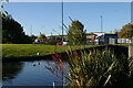 Ridgacre Branch Canal at Swan Island