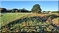 Embankment on the former Bishop Auckland to Wearhead branch