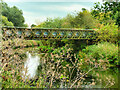 Footbridge over the River Nene