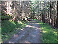 NH1789 : Woodland track at Cadh Ruadh by Peter Wood