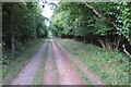 Footpath next to Cockayne Hatley Wood