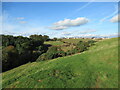 View towards Lanark from pasture above the Ponclair Burn