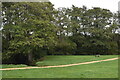 Path by the stream, Potterne Park