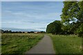 Path on Hob Moor