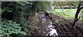 River Sheaf at Abbey Dale, Sheffield