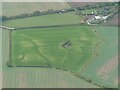 Cropmarks in a field at Ailby: aerial 2021