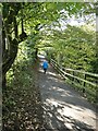 Path from Cross Hill Quarry to Brungerley Park