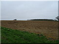 Field near Glebe Farm