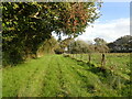 Footpath towards Willingford Lane