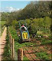 Nursery work, New Wood Trees