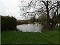 Pond beside Main Street, Dorrington