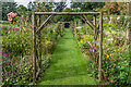 The Kitchen Garden