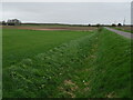 Roadside drain, Ruskington Fen