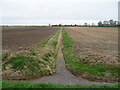 Drain junction, Ruskington Fen